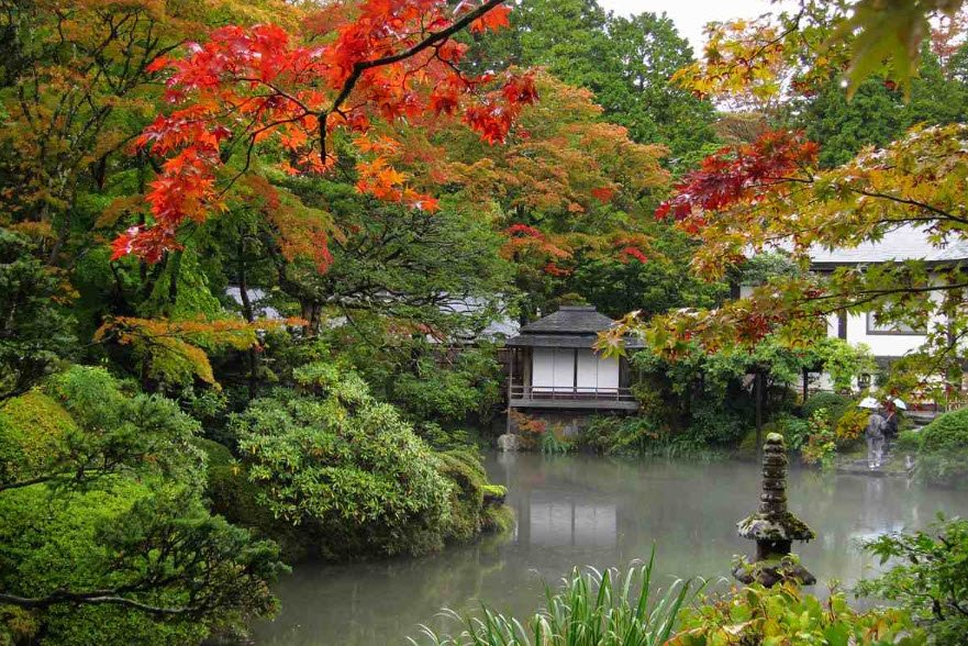 Nikko Botanical Gardens (Univ. of Tokyo, Grad. School of Science), Nikko, Japan, Japan